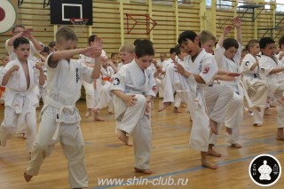 занятия каратэ для детей (73)